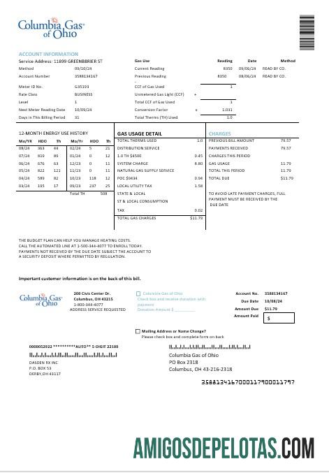 realista Modelo de conta de serviços públicos da Columbia Gas Of Ohio nos formatos Word e PDF